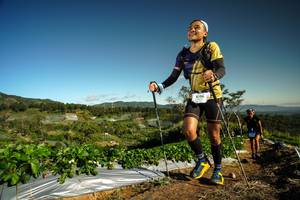 BIB: 9196, 
                            <button type="button" onclick="openModal(19121905)" class="btn btn-primary btn-sm float-right btn-popup" data-toggle="modal" data-target=".modal-high-quality">
                        <i class="fas fa-shopping-cart"></i> Add to Cart
                    </button>
                                            <button type="button" onclick="isThisMe(19121905, true)" class="btn btn-success btn-sm float-right btn-popup btn-isme hidden" data-toggle="tooltip" data-placement="bottom" title="นี่คือรูปของคุณใช่ไหม คลิกที่นี่เพื่อเอาเข้าอัลบั้ม">
                        <i class="fas fa-plus"></i> Add to album
                    </button>
                    <button type="button" onclick="isThisMe(19121905, false)" class="btn btn-warning btn-sm float-right btn-popup btn-isnotme hidden">
                        <i class="fas fa-ban"></i> Remove from album
                    </button>